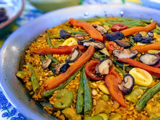 Uma viagem rica em plantas para a Provença - Paella e muito mais! Novo conteúdo 2025