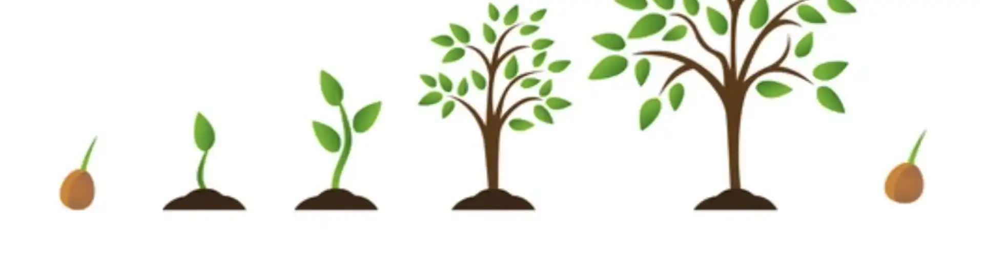 Profundiza tu Conciencia: La Vida Entre Encarnación y Reencarnación - Online Class by Dr. Gita Rani Ponnuchamy