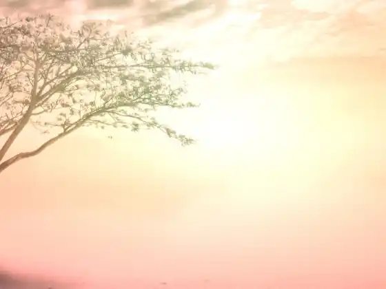 Spring Into Soul: симпозіум розум-тіло-дух
