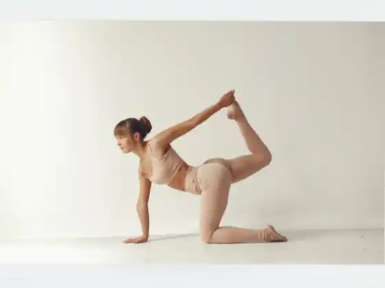 Aliran Yoga Lanjutan