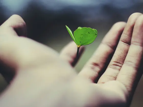 Webinaire 6 : Calibrage de carrière pour une réussite en harmonie avec l’âme
