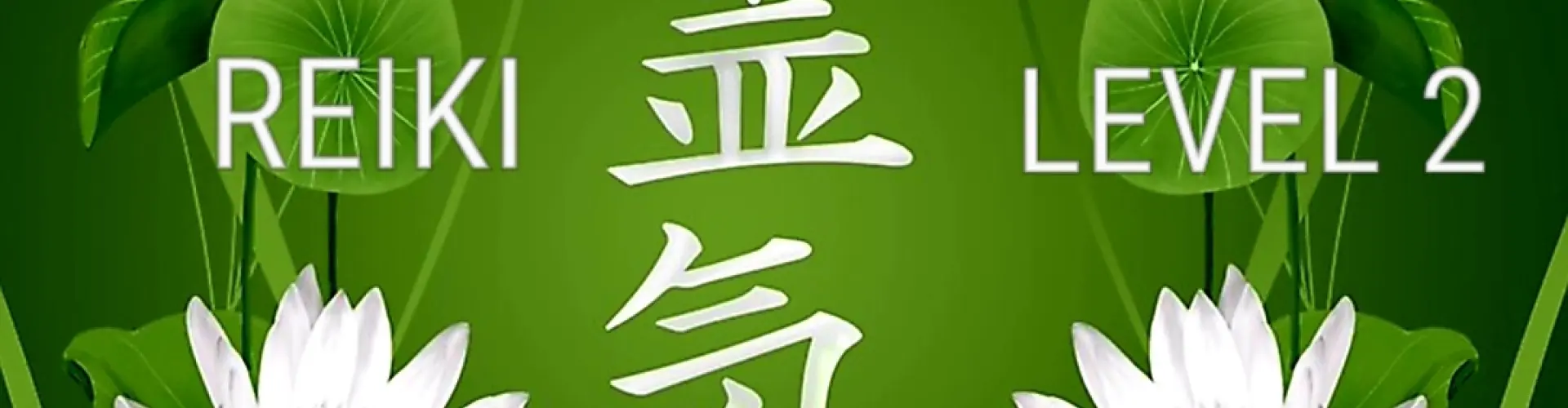 Reiki Level Two  - Online Class by Cassaundra Paolini
