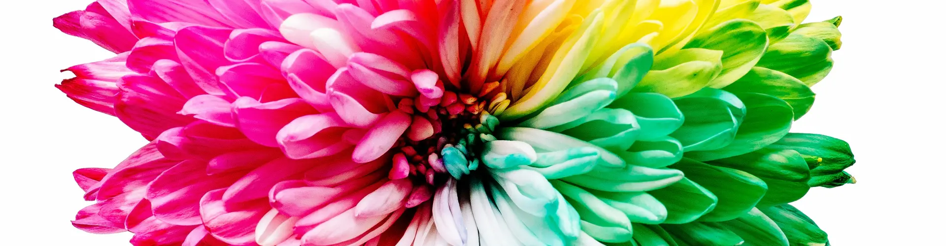 Energy Healing for our Chakras - Online Class by Ismene Manakas