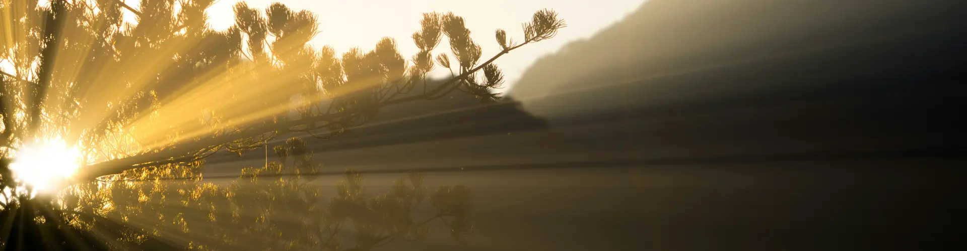 Wonderment - A trance-channeling with Yeshua - Online Class by Ismene Manakas