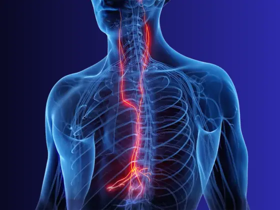 Nervous System Mastery