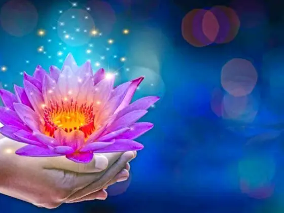 Reiki Tahap 3 Master Hujung Minggu 